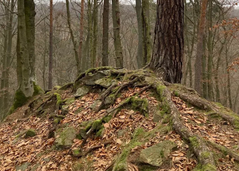 Zřícenina Hradu Kuchlov, Czech Republic (Czechia)